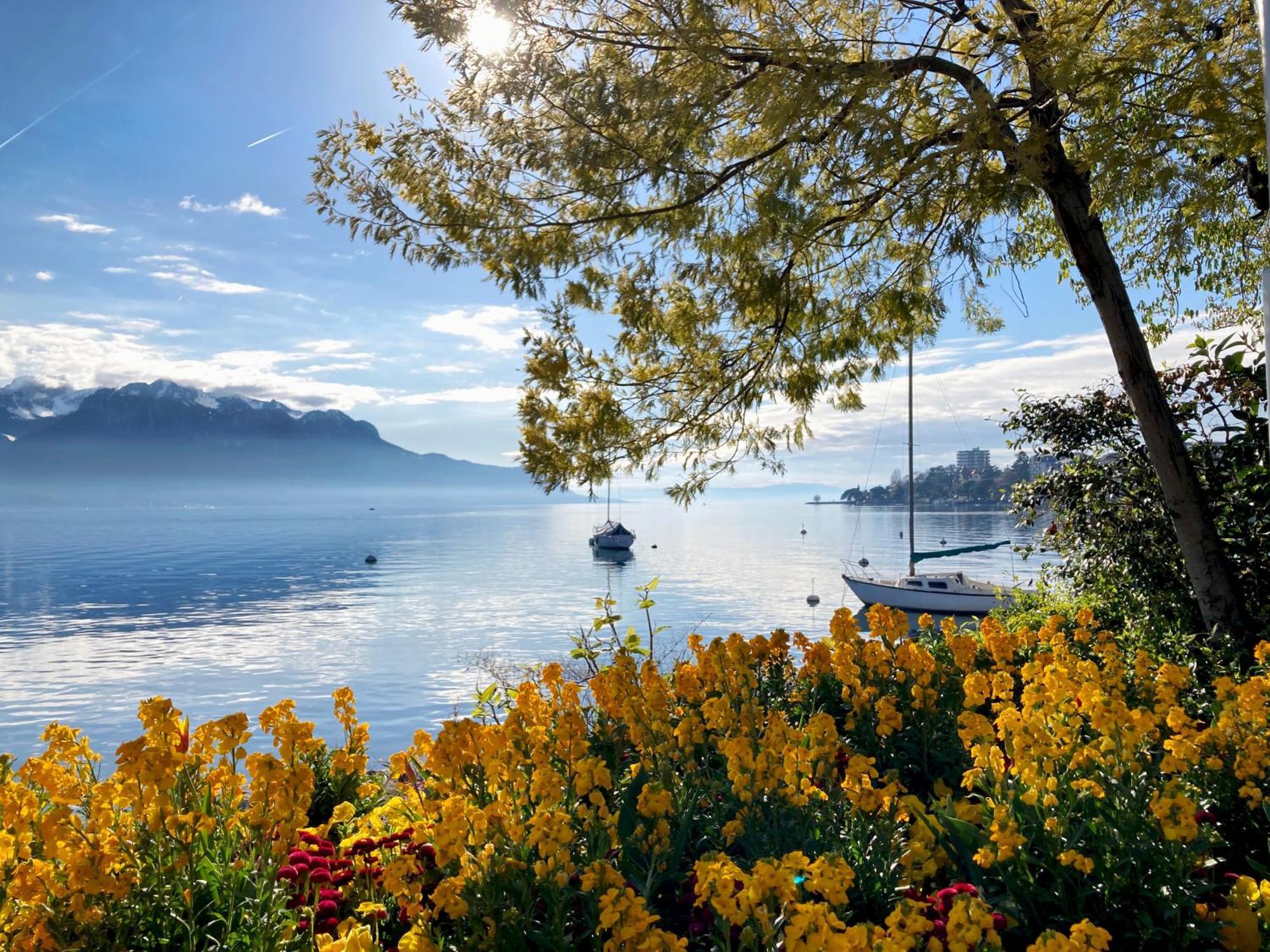 Royal Plaza Montreux Exterior foto View of Lake Geneva from Montreux