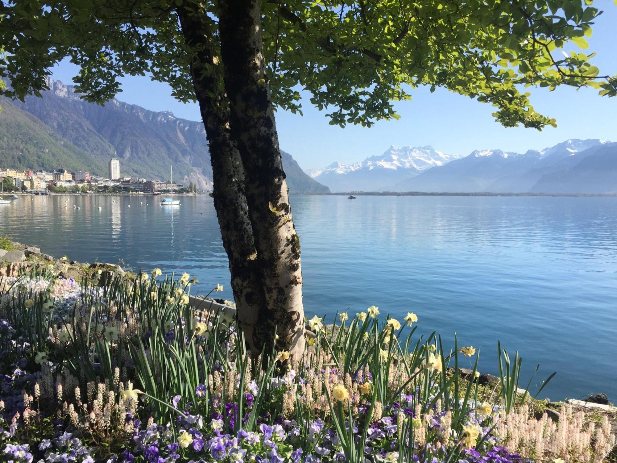 Royal Plaza Montreux Exterior foto Lake Geneva