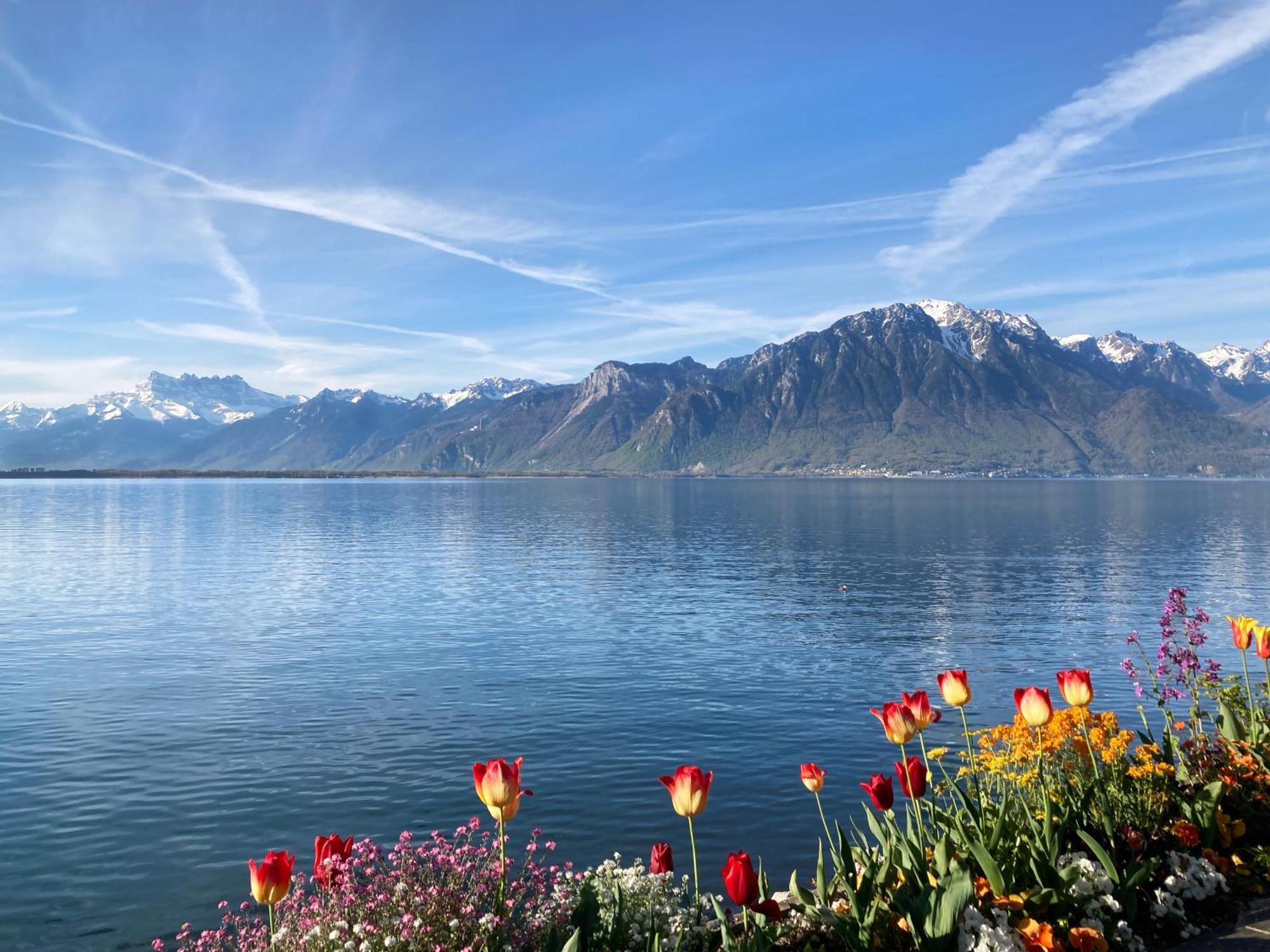 Royal Plaza Montreux Exterior foto View of the Alps from Montreux
